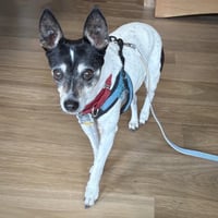 Sybil (OR) - Photo 3