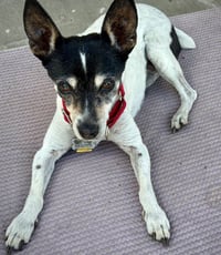 Sybil (OR) - Photo 2