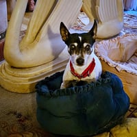 Sybil (OR) - Photo 4