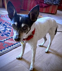 Sybil (OR) - Photo 1