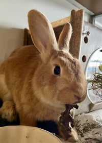 SUGAR - Photo 1