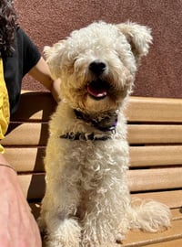 OONA - Photo 1