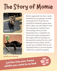 Momie - Photo 4
