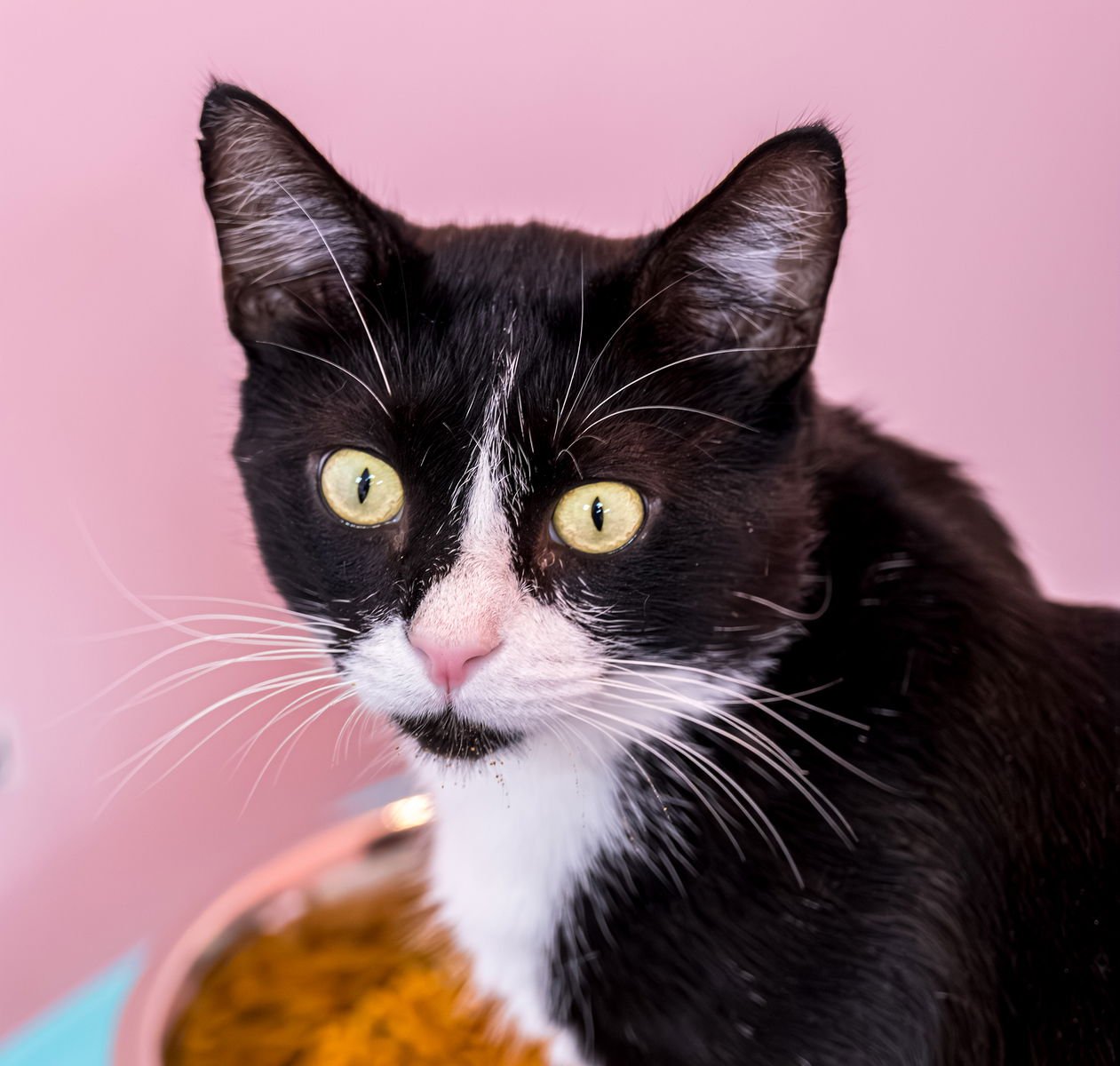 Victor - KBC - Photo 6