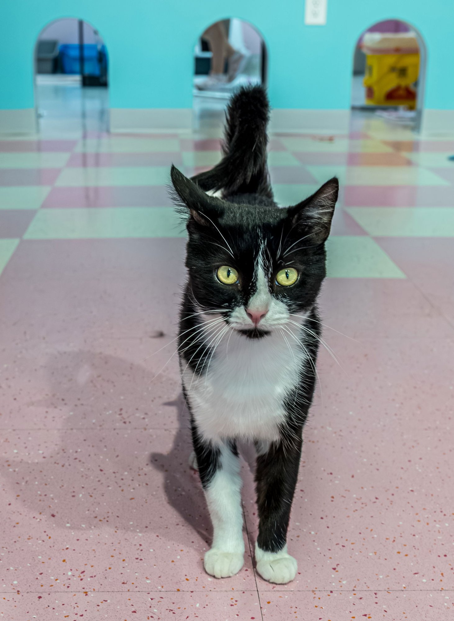 Victor - KBC - Photo 8