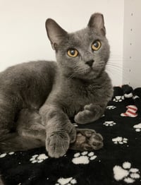 Beverly - Photo 1