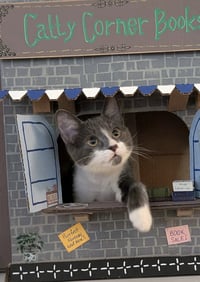 Butterball - Photo 1