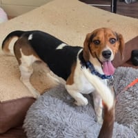 Zeus - Photo 3