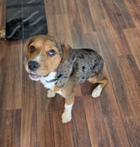 Truman - Photo 2