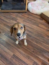 Truman - Photo 3