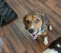 Truman - Photo 4