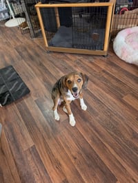 Truman - Photo 5