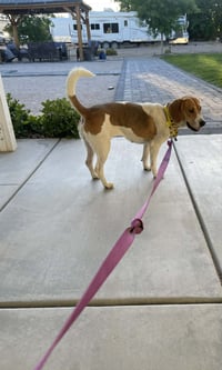 Ember - Photo 4