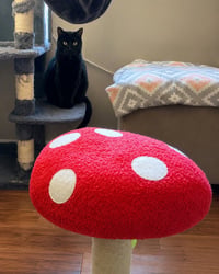 Dotty - Adopt Me! - Photo 4