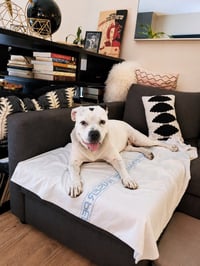 Molly - Adopt Me! - Photo 3