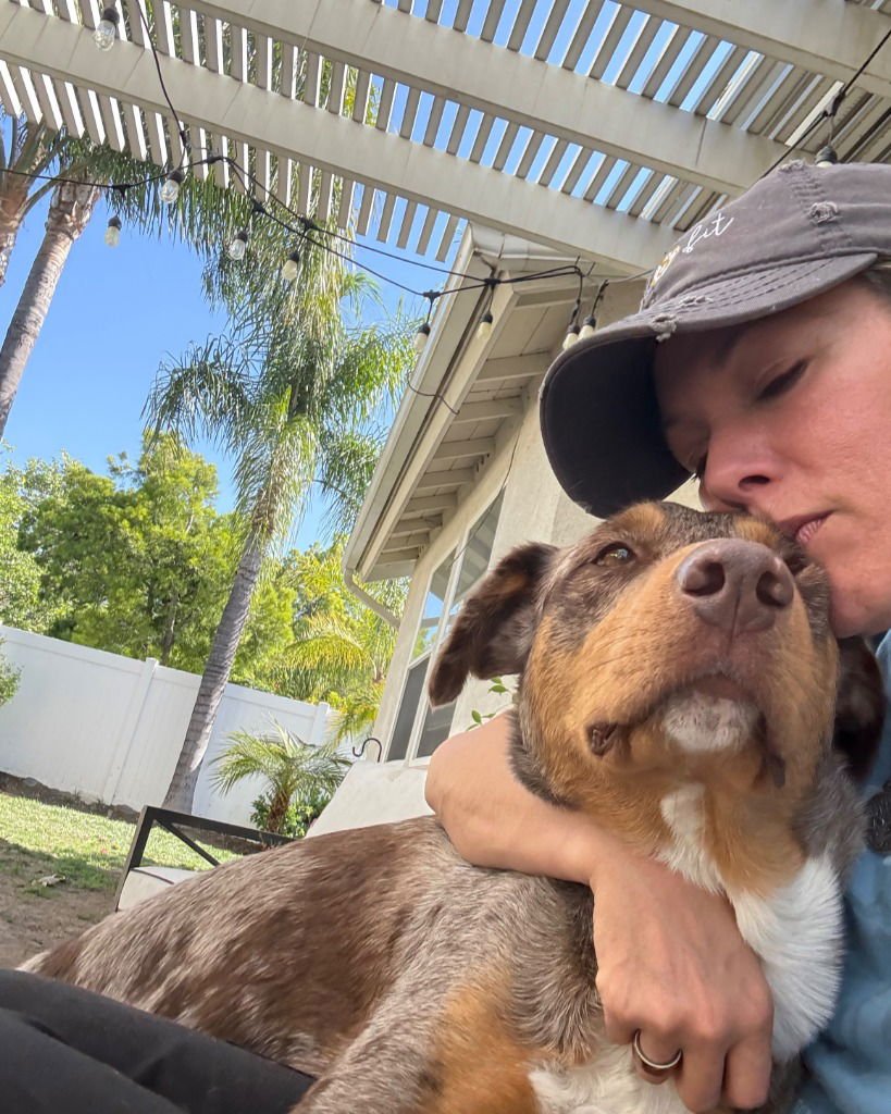 Ava-Foster or Adopt Me! - Photo 4