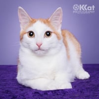 Bernie - Photo 2