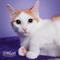 Bernie - Photo 3