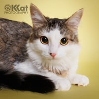 Zebby - Photo 3