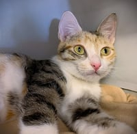 Whoopsie Boopsie - Photo 2