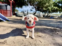 Corky - Photo 3