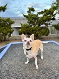 Edie - Photo 2