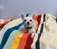 Edie - Photo 5