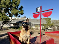 Gunther - Photo 6