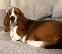 LUCY - Photo 3