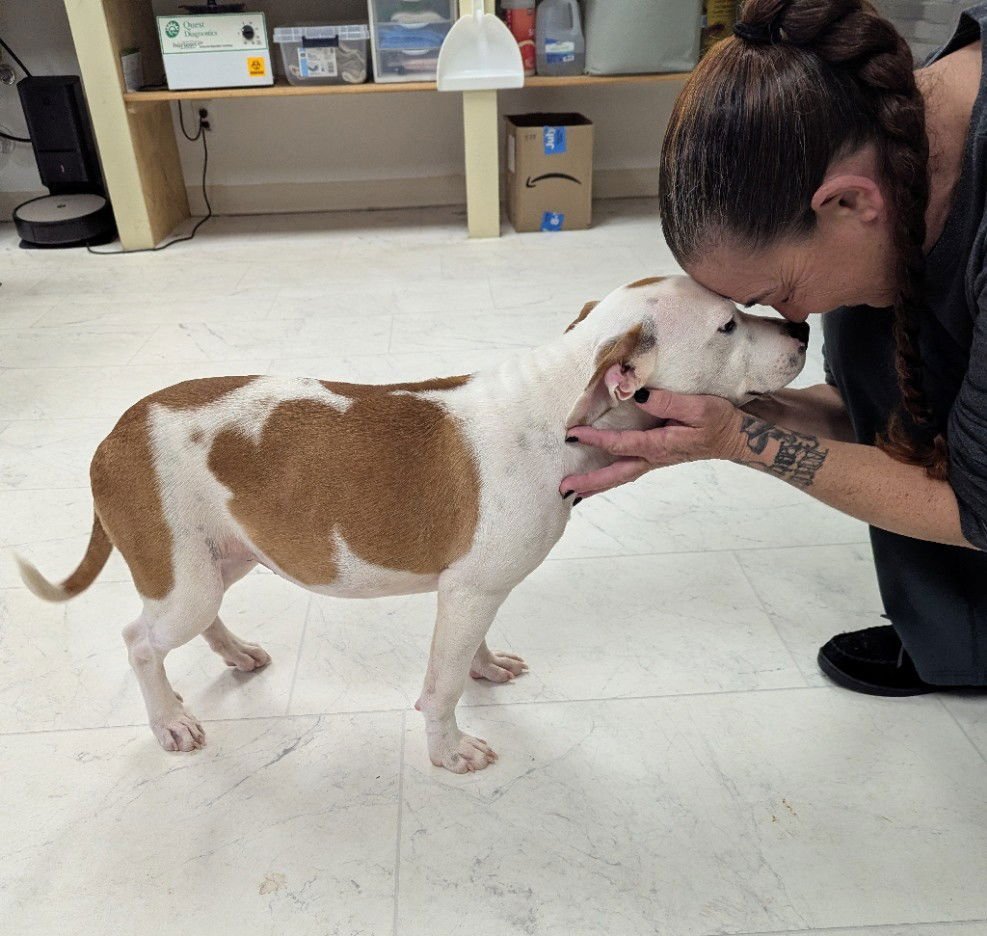 Princess Missy the Divine - Photo 3