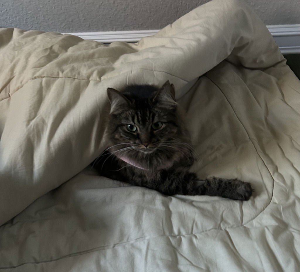 Miss Buster - Photo 3