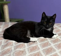 Xena - Photo 2