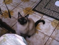 Isabella - Photo 1