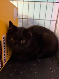 Salem - Photo 3
