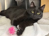 Salem - Photo 2