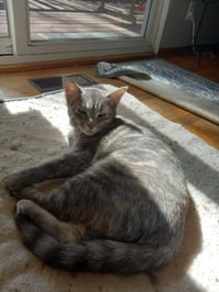 Button - Photo 1