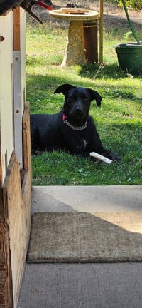 Carmen - Photo 3