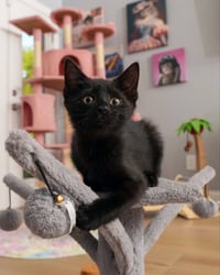 Miney - Photo 3