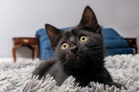 Miney - Photo 6