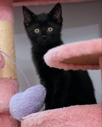 Miney - Photo 7