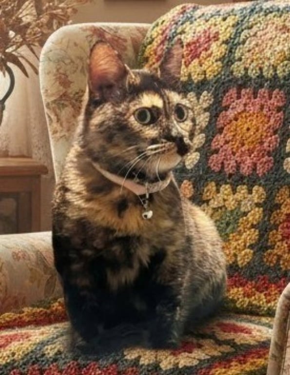 Cleo Image