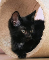 Meeny - Photo 7