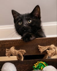 Meeny - Photo 6