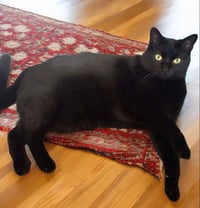 Mia - Photo 3