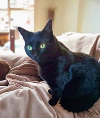 Mia - Photo 2