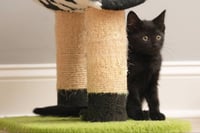 Eenie - Photo 5
