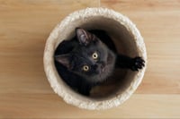 Eenie - Photo 7