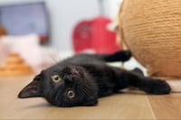 Eenie - Photo 4