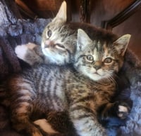 Olaf and Elsa - Photo 1