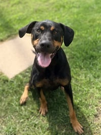 MAX - Photo 1